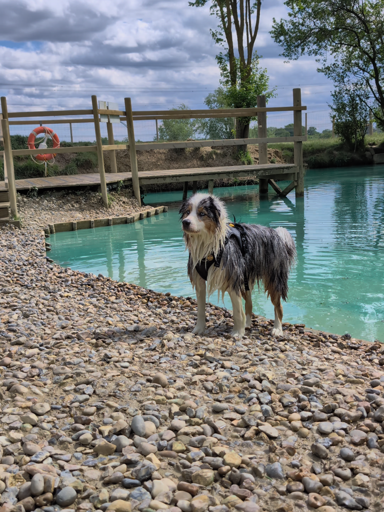 @Koda Adventures