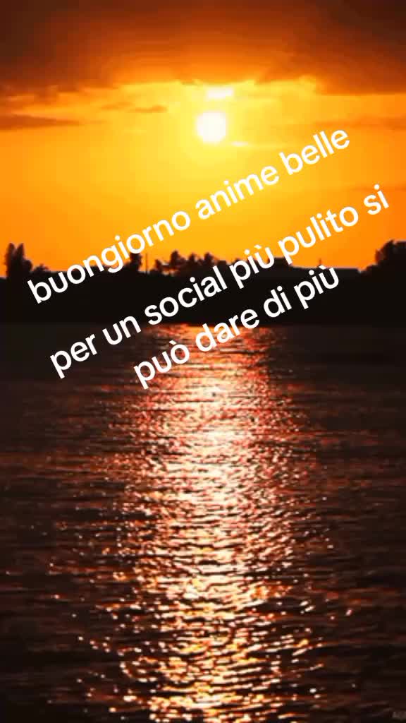 @rosariopulvirenti8