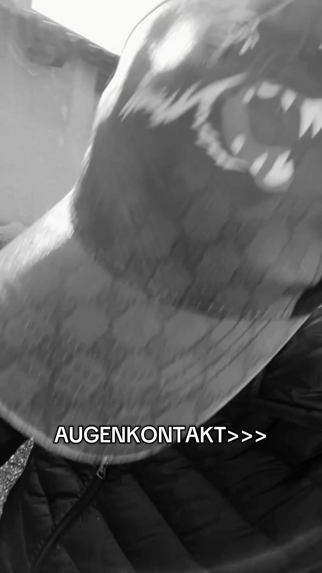 @ק