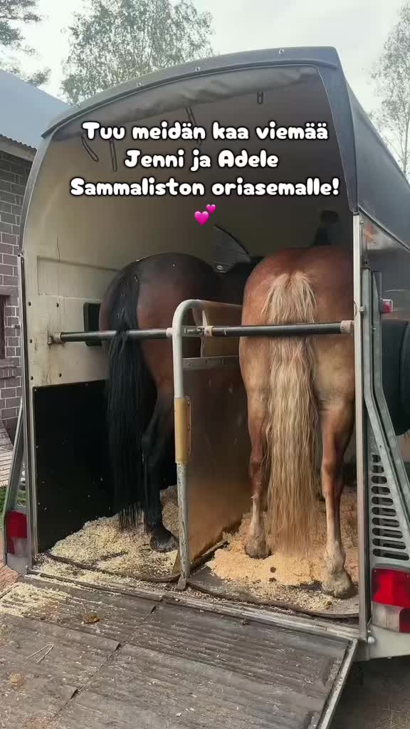 @Ponirannan talli🇫🇮🐎