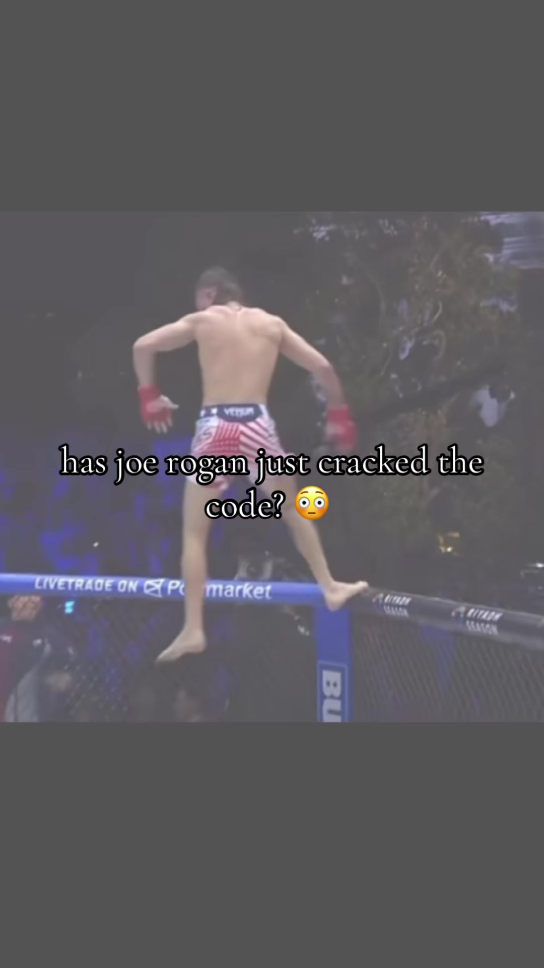 @shamilkanovski