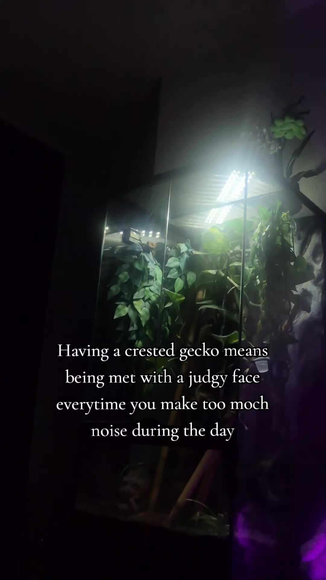 @꧁𓆩𝙼𝚊𝚢𝚛in𓆪꧂