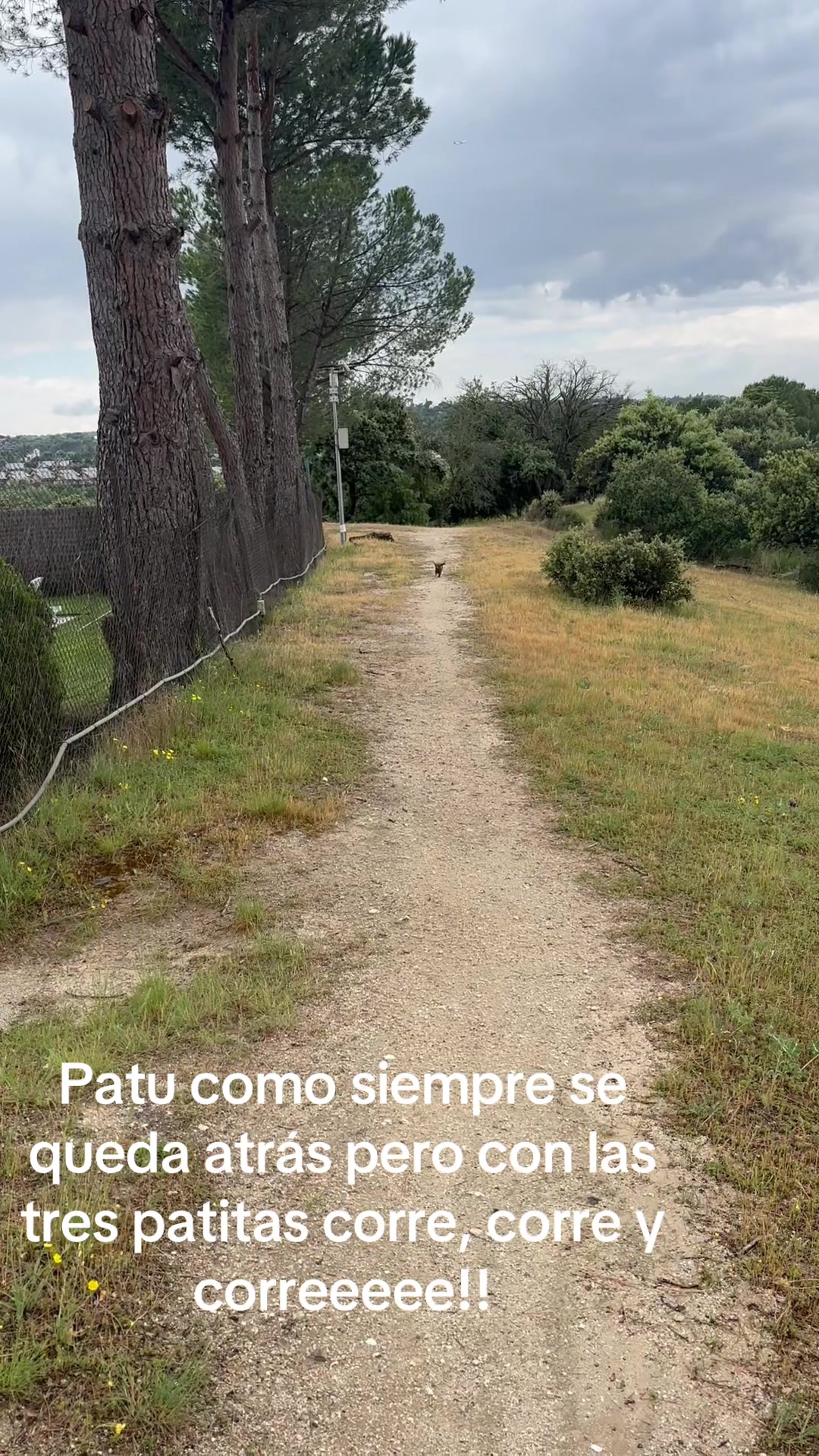 @patushiiiii