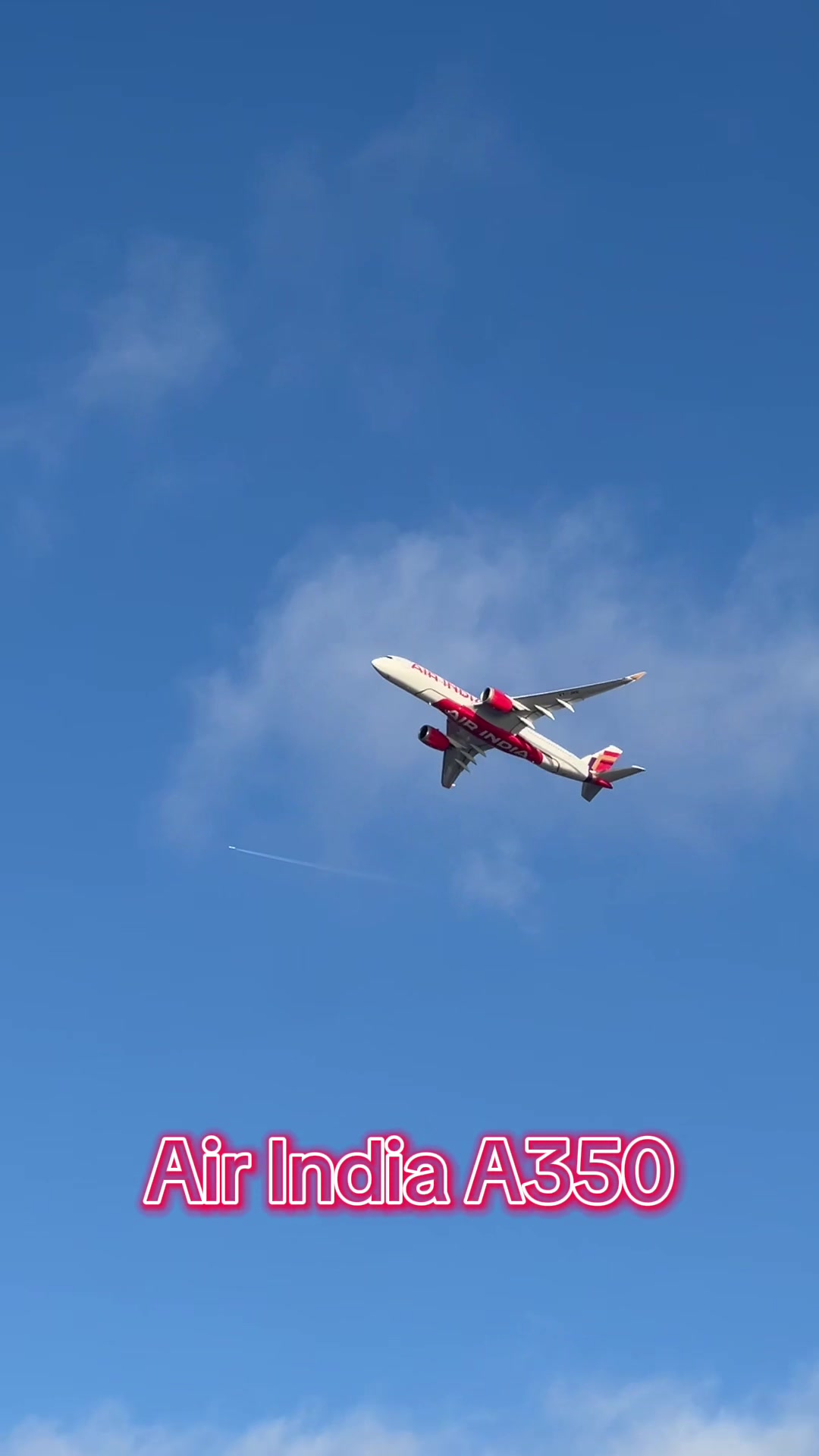 @Aviator Dani