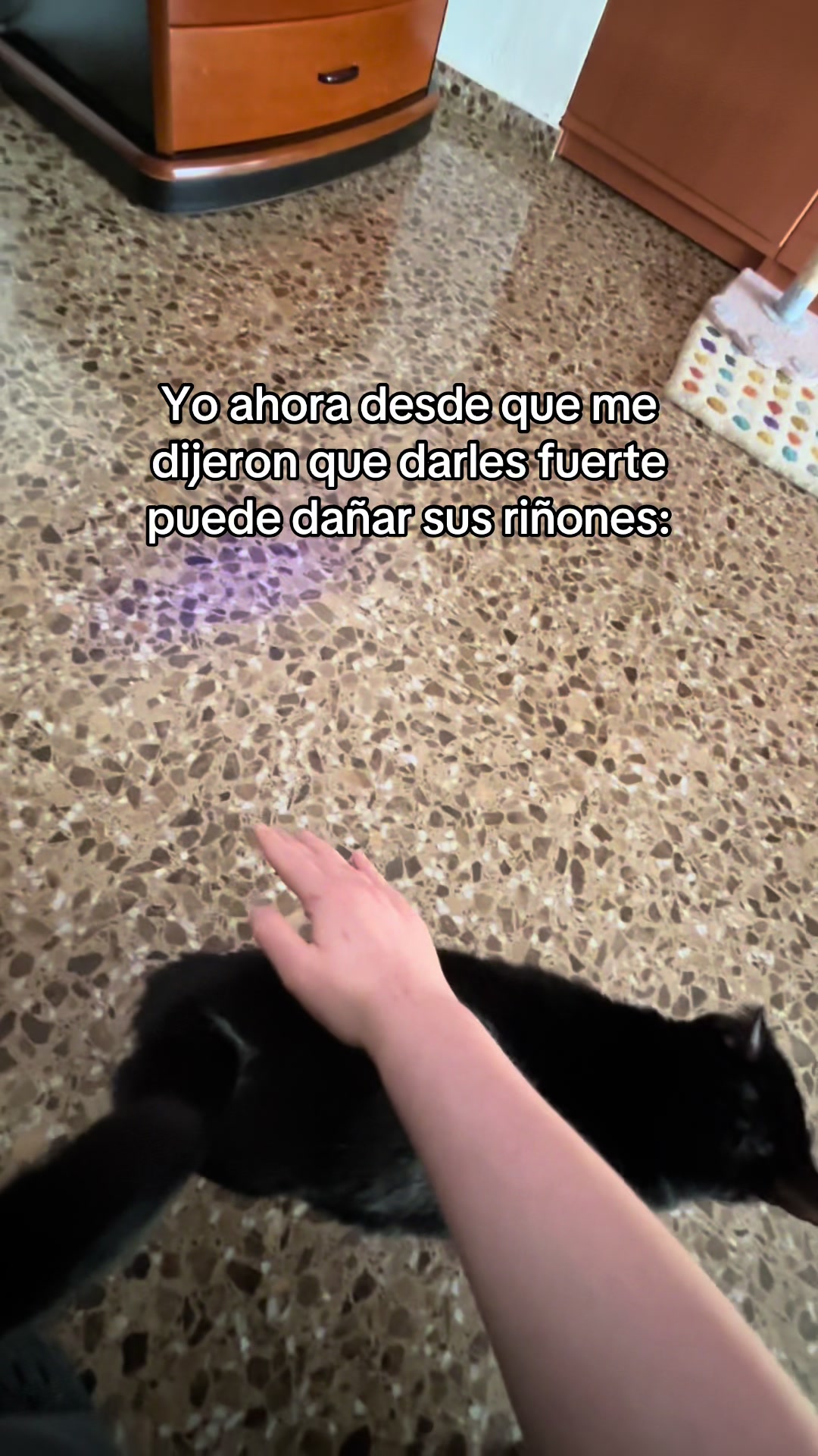 @BlackCatsMatter