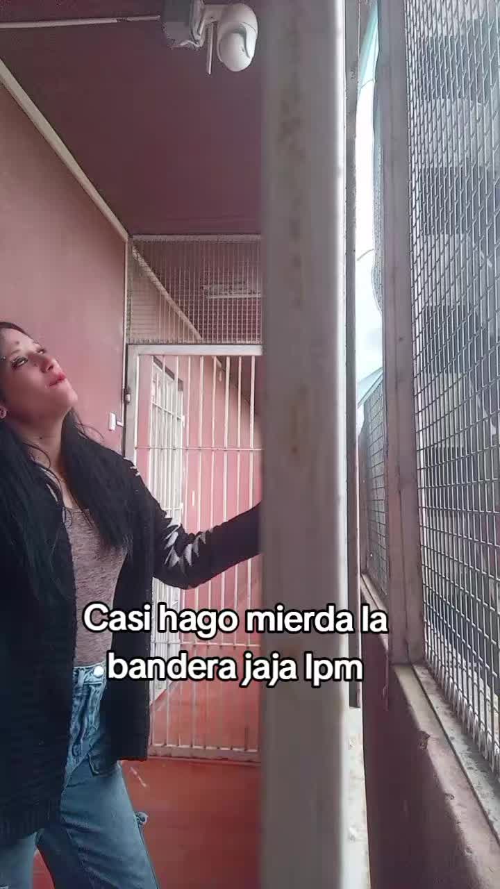 @vanelapochi