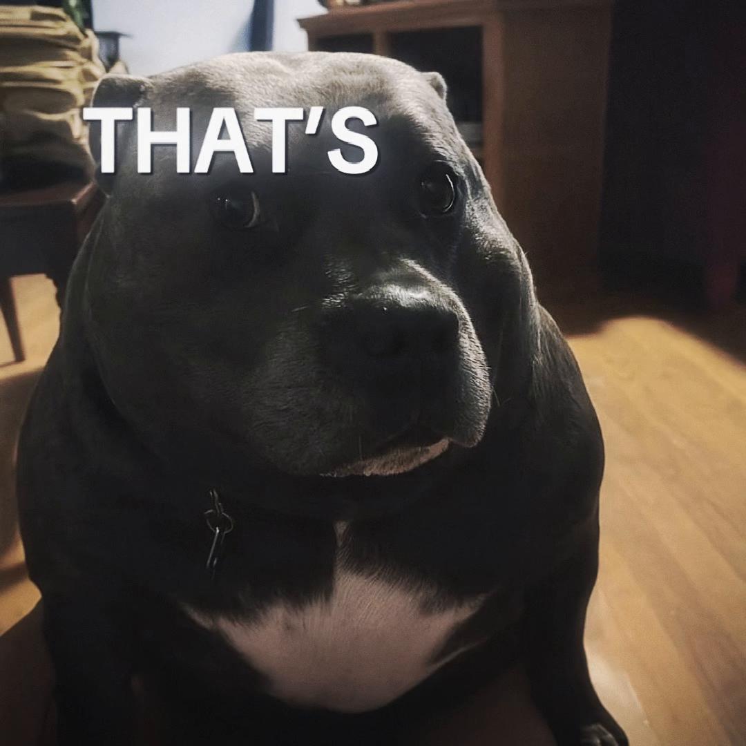 @💫🪐