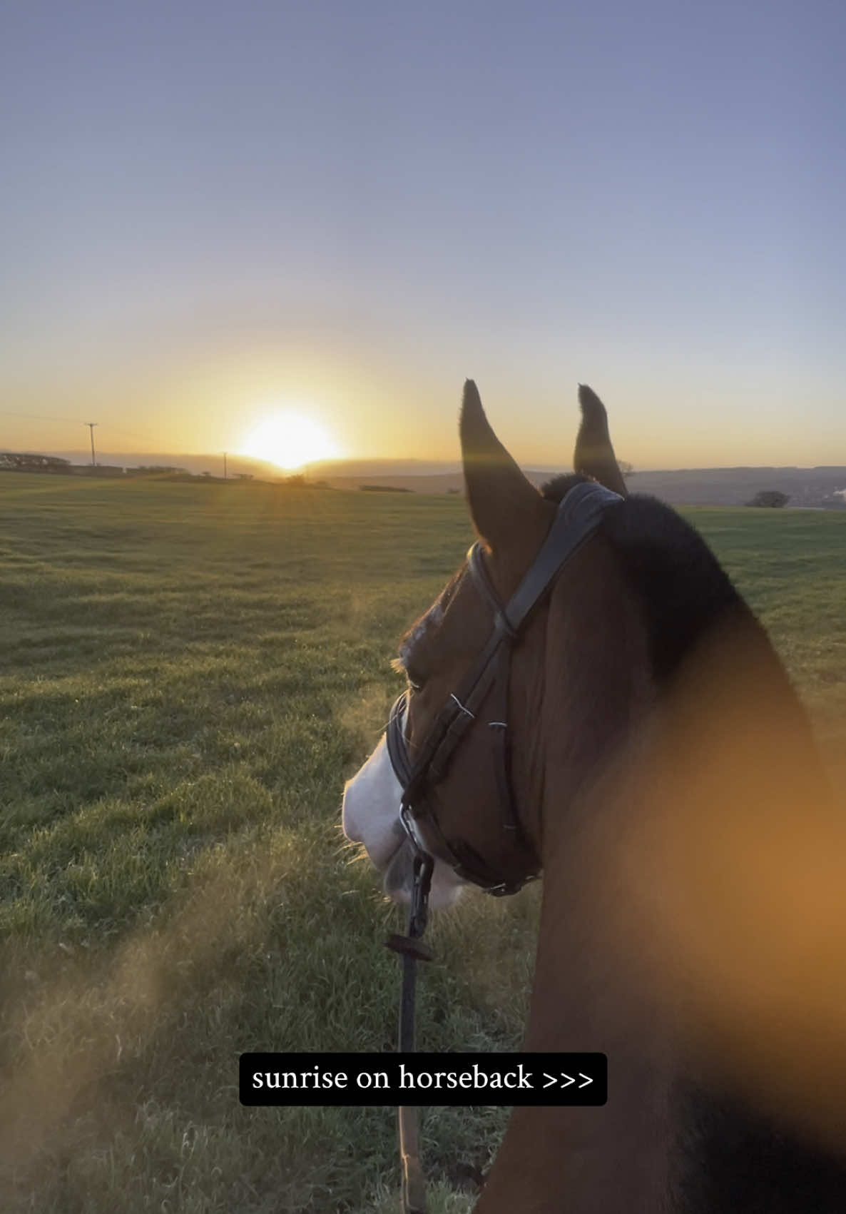 @Yardd | Equine Life Simplified