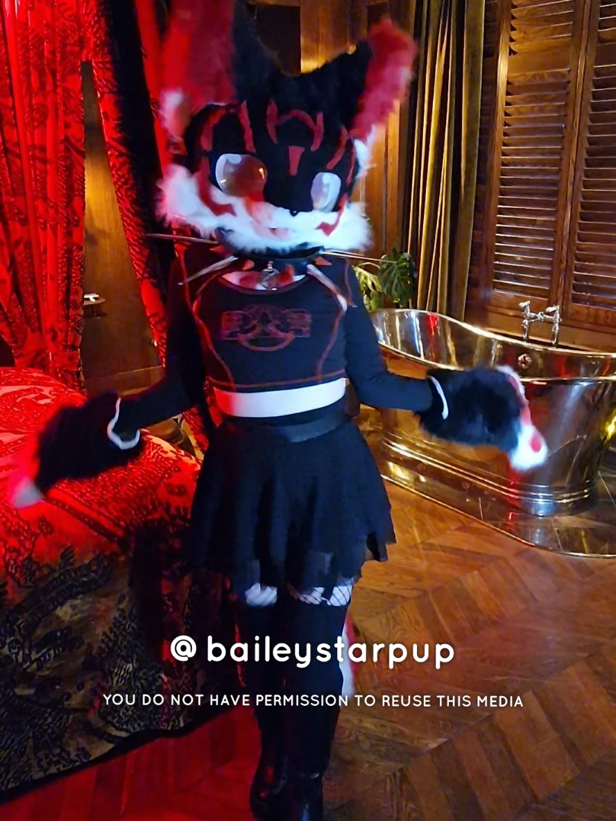 @Bailey (lilpixiekitten)