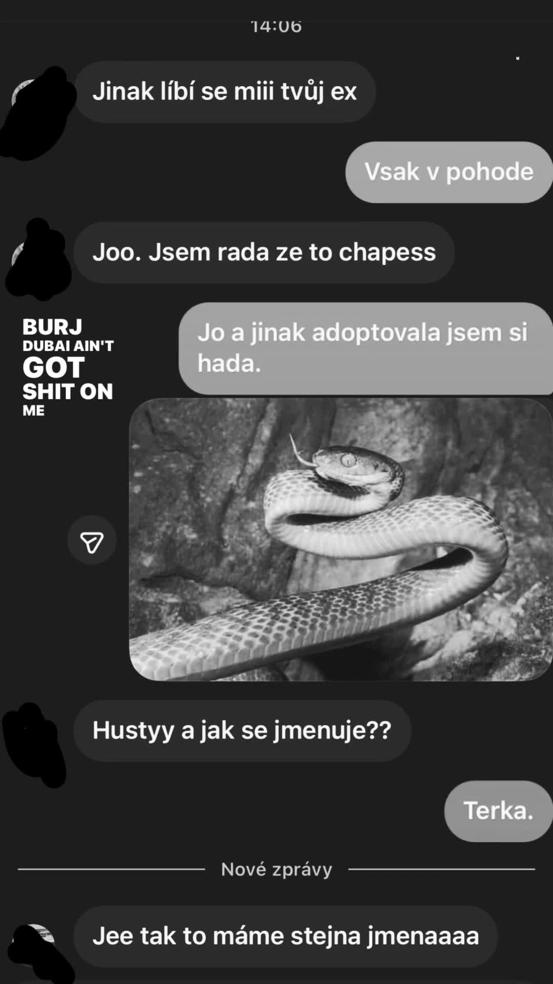 @vikina