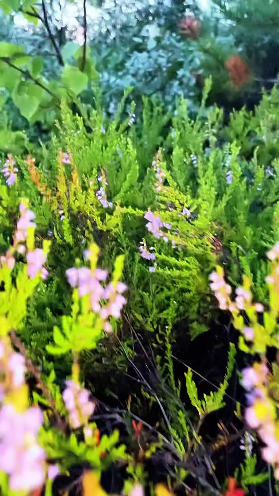 @Nature in Norway