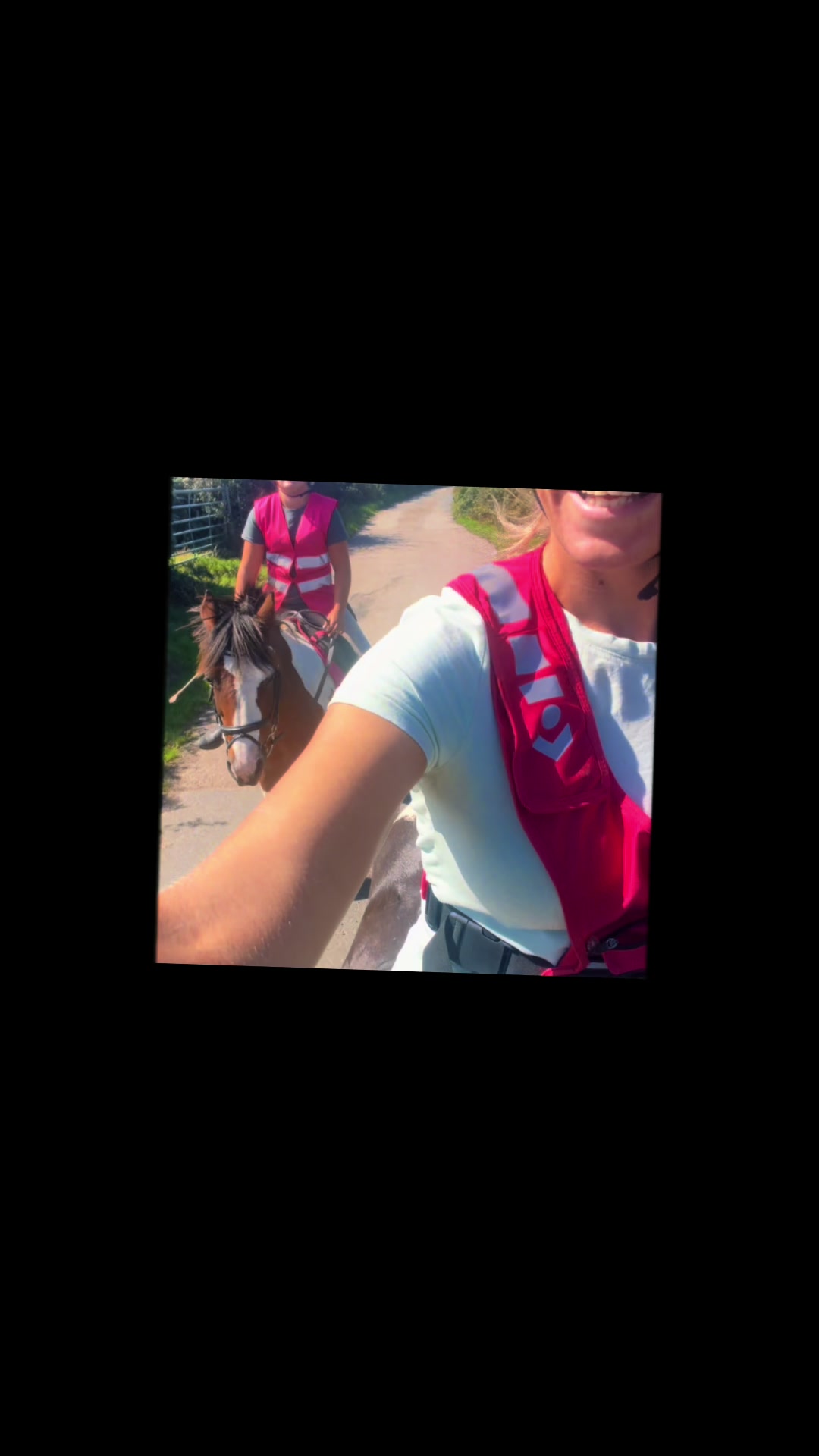 @horsetiktoc