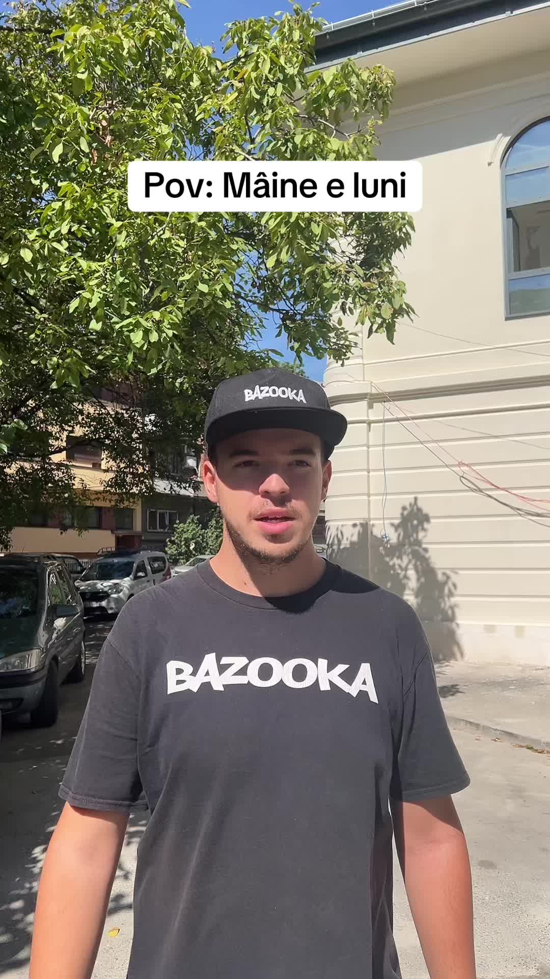 @Nicholas Radulescu