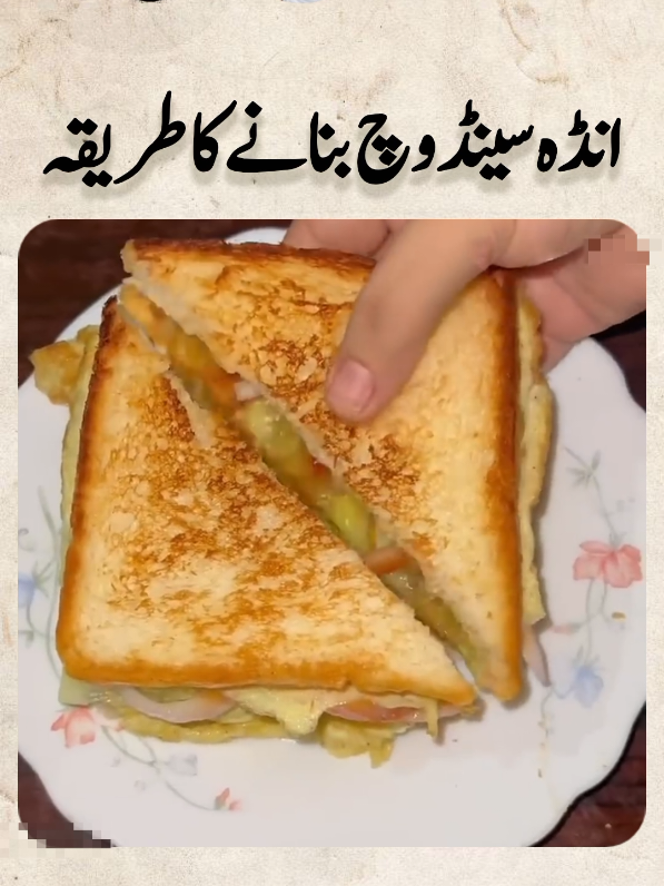 @ifzaalcook0