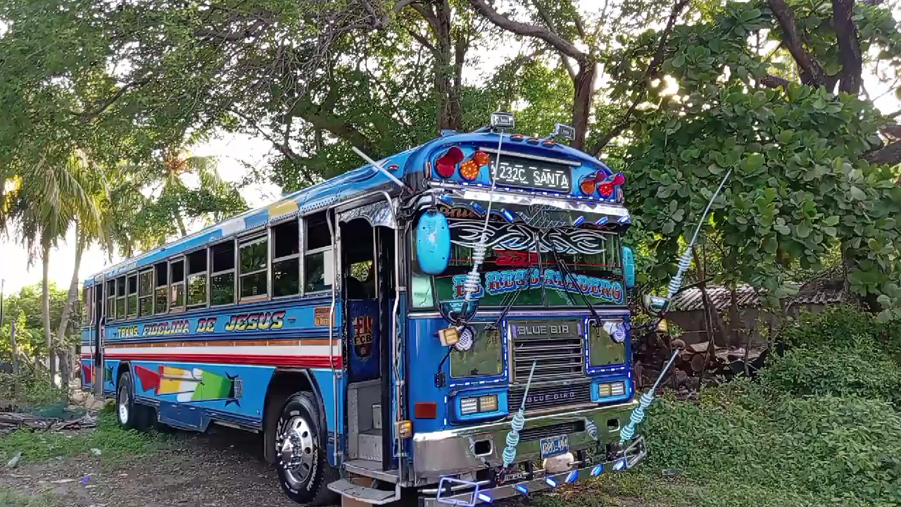 @buses elegantes 503