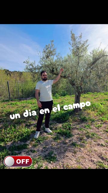 @murris.pirata
