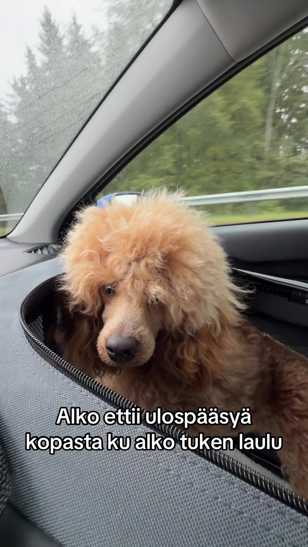 @fannipoukkula
