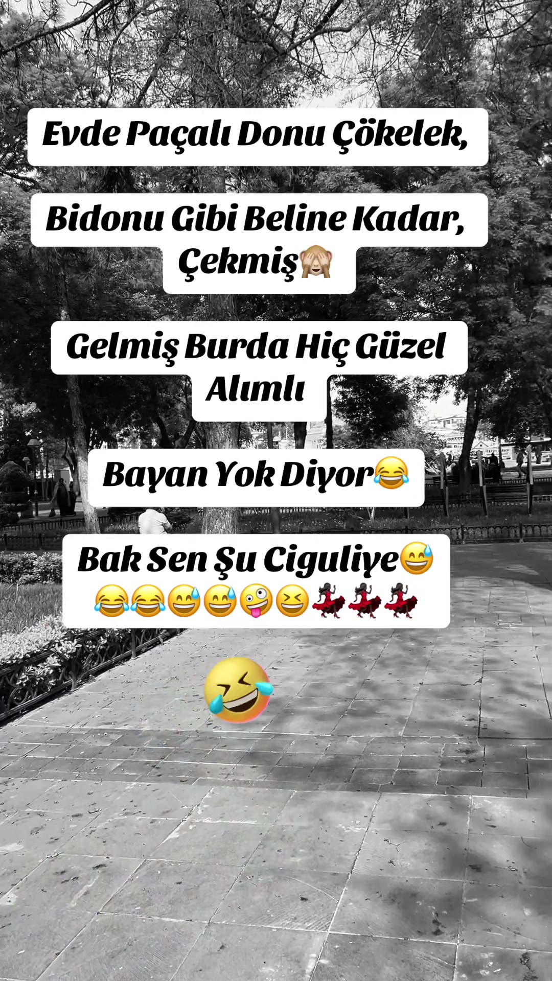@✨🤍Ayliz_S🤍✨