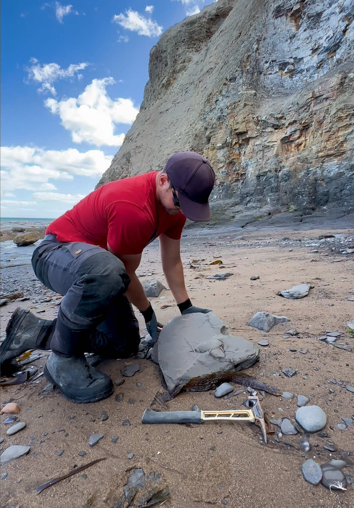 @yorkshire.fossils