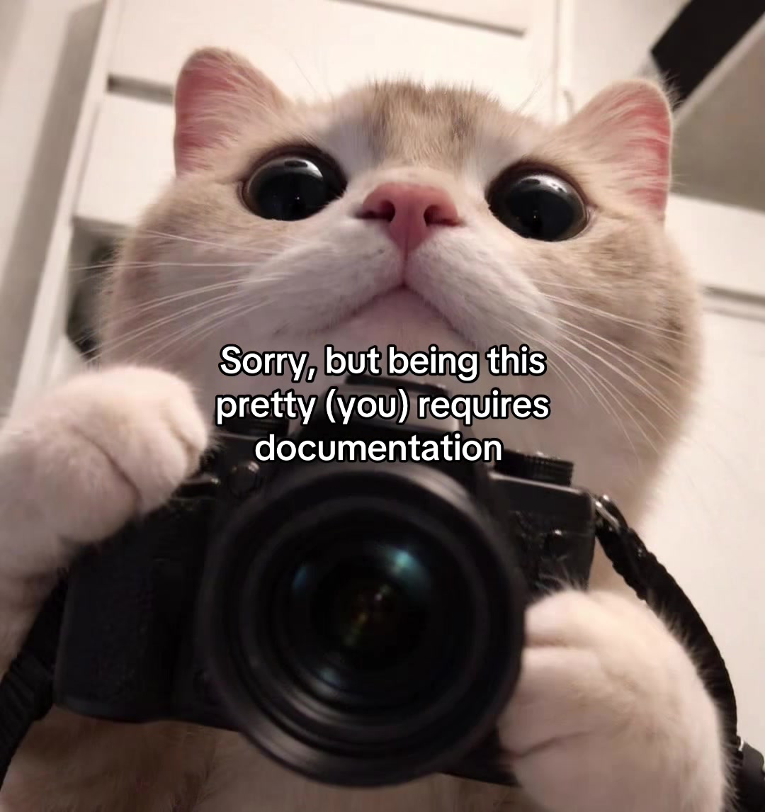 @Alice.cattok