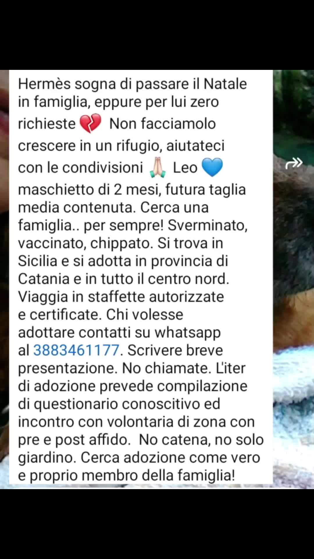 @briciola221dina24
