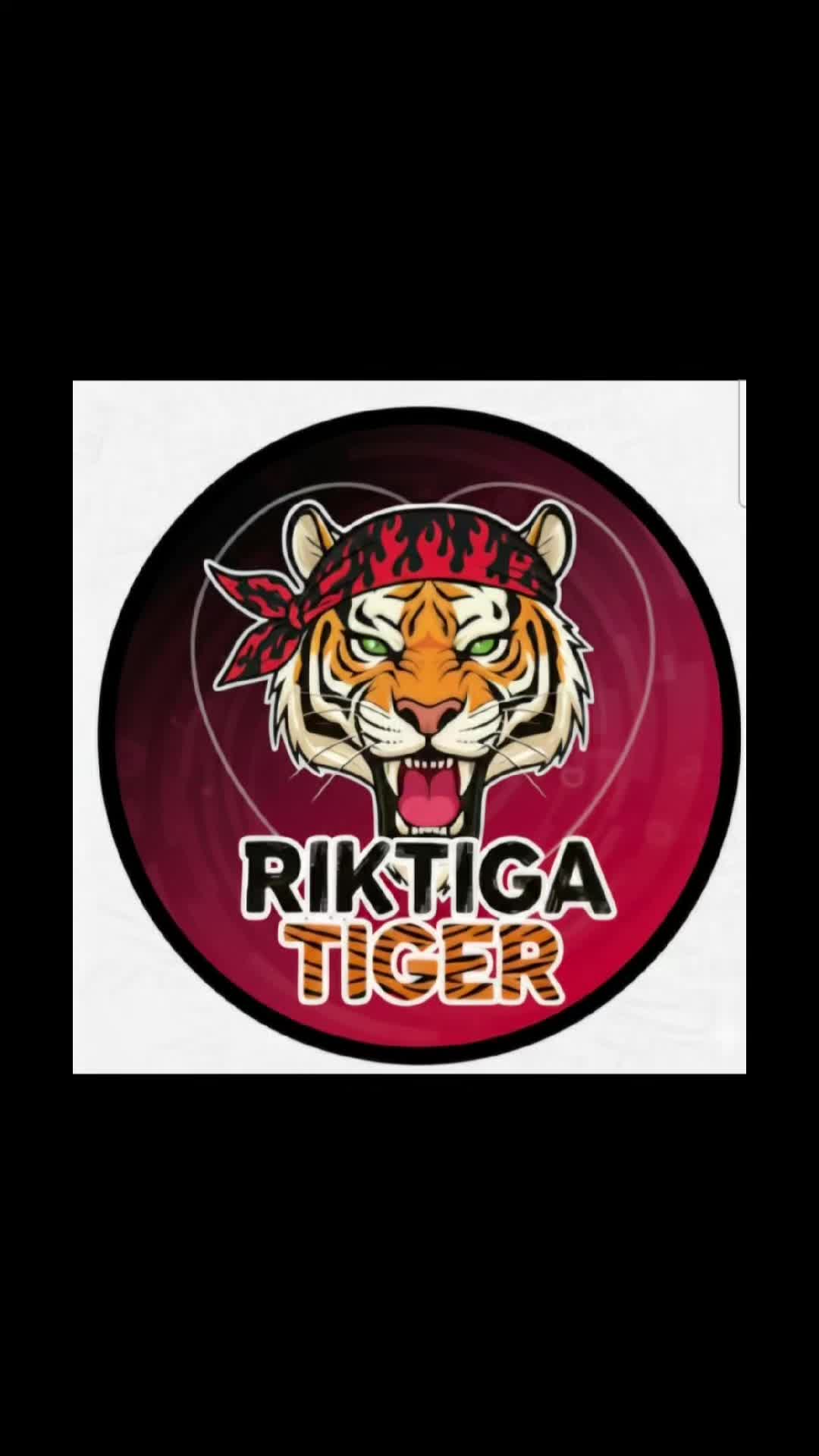 @🇸🇪Riktiga Tiger🇸🇪