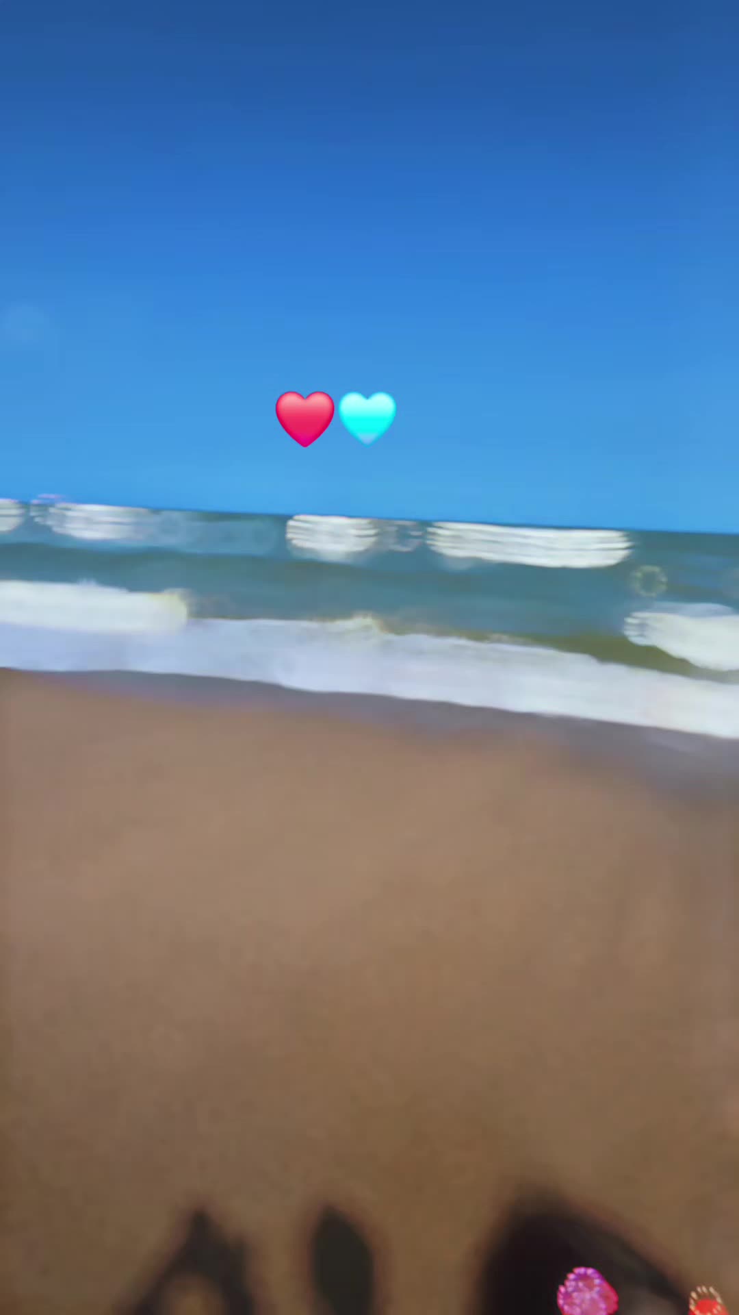 @shaz786🦋🦋🌺