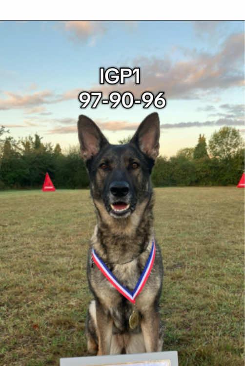 @Crazy GSD Lady