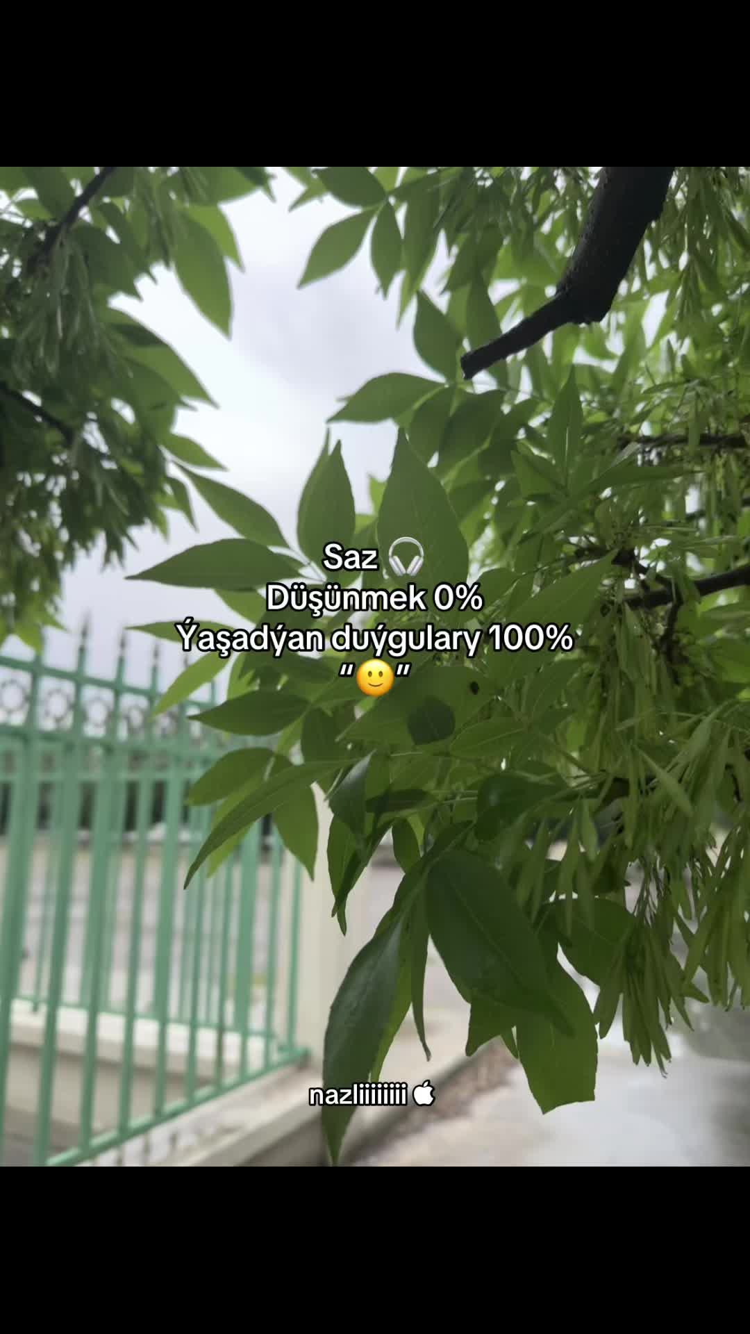 @nazliiiiiiii 