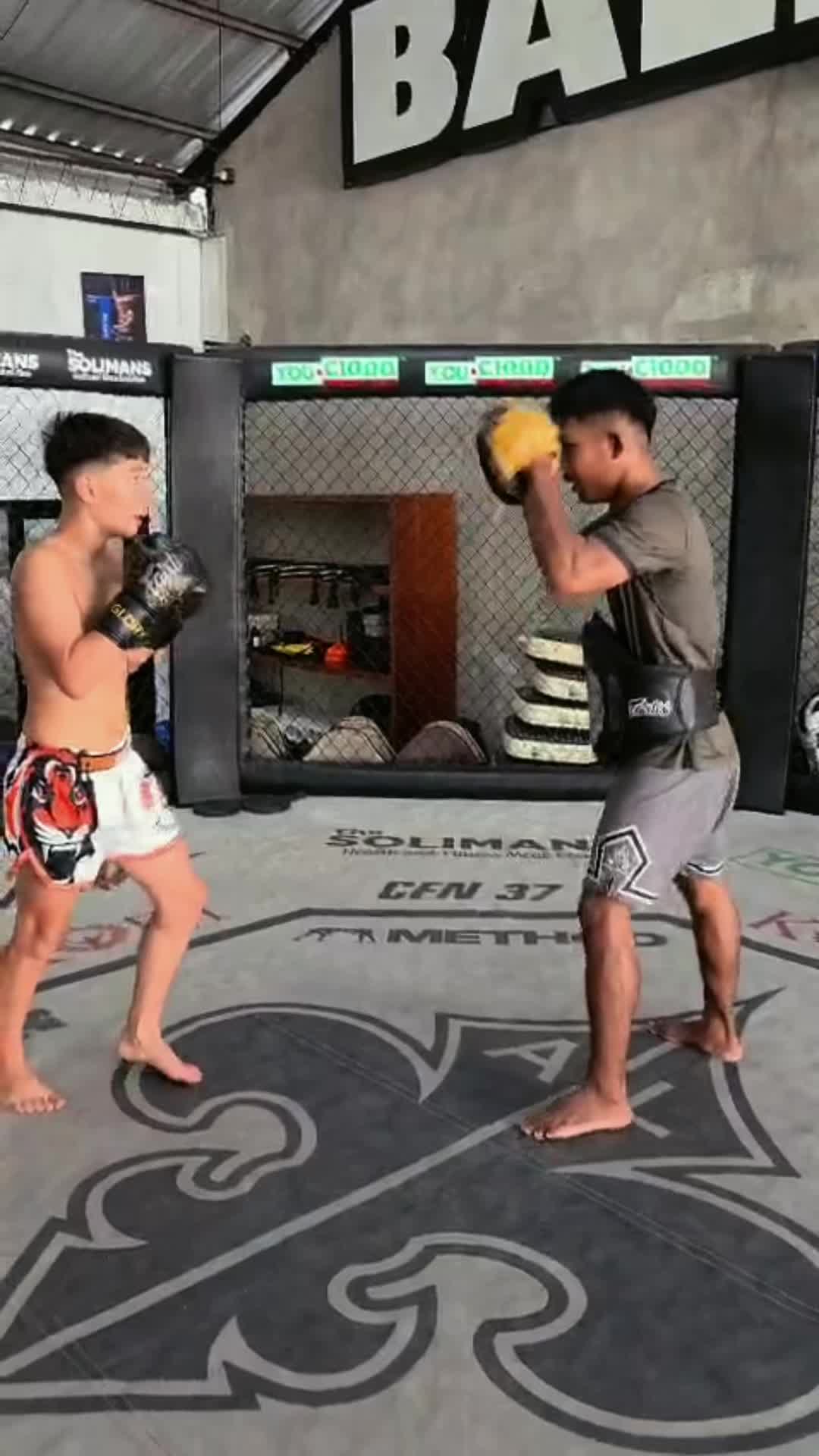 @๐ฒ๐๐๐๐