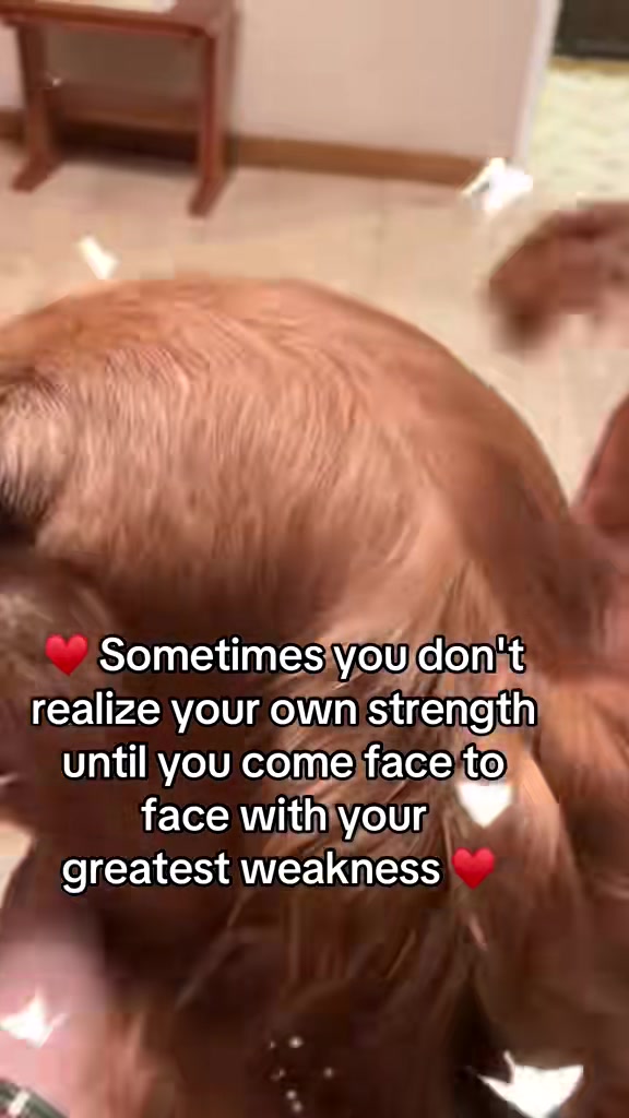 @Happy buddy