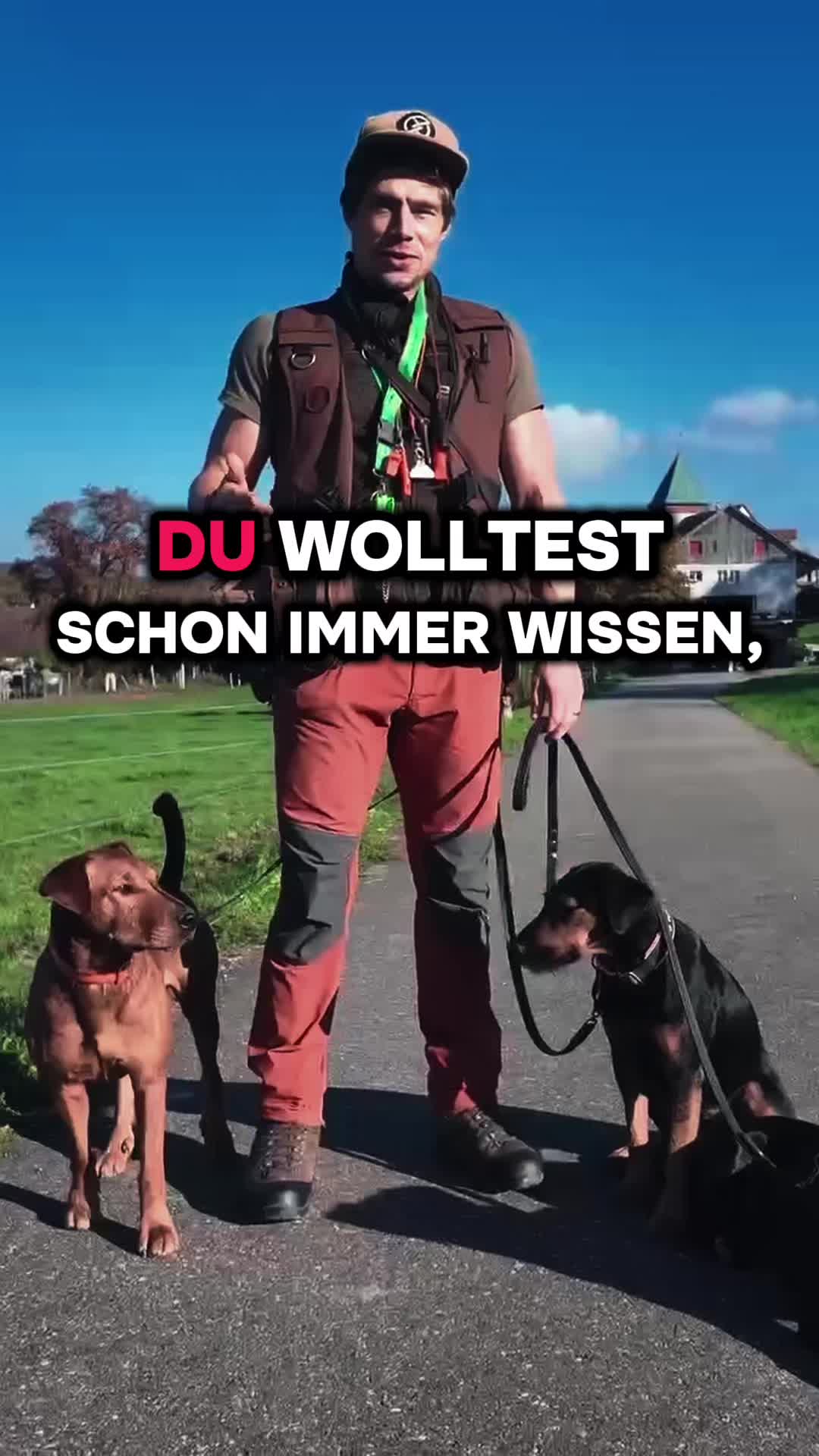 @Urs von Vergiss die Leine