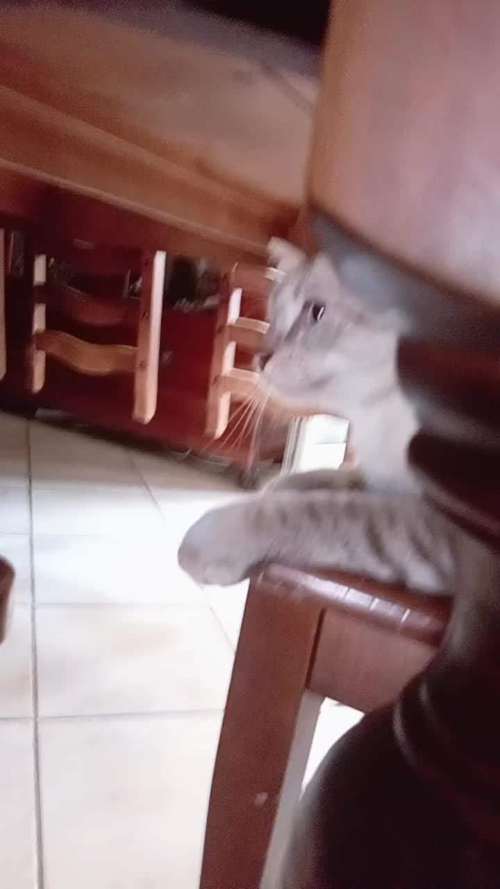 @giuli