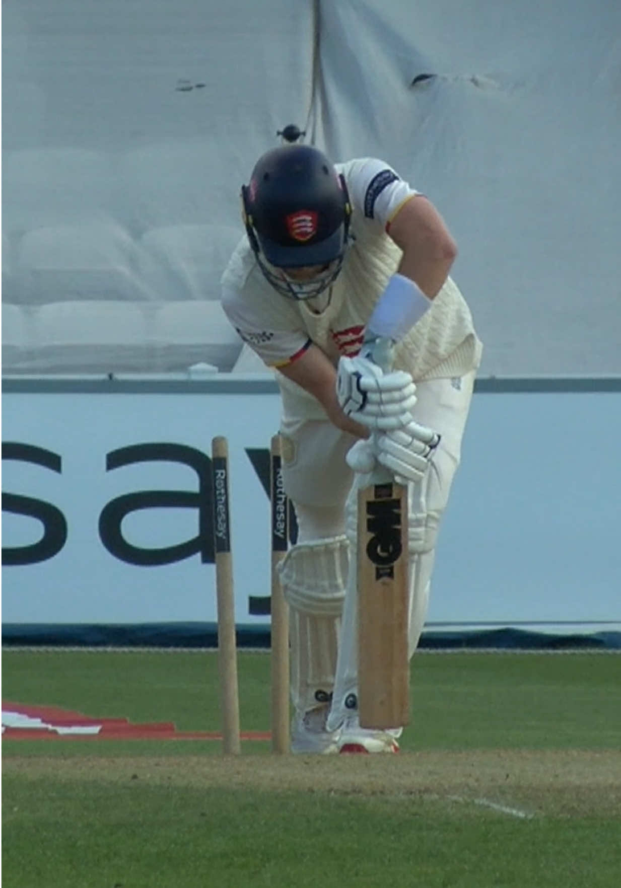 @Somerset Cricket