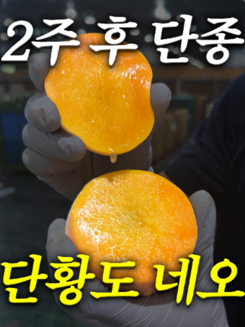 @해운대송사장