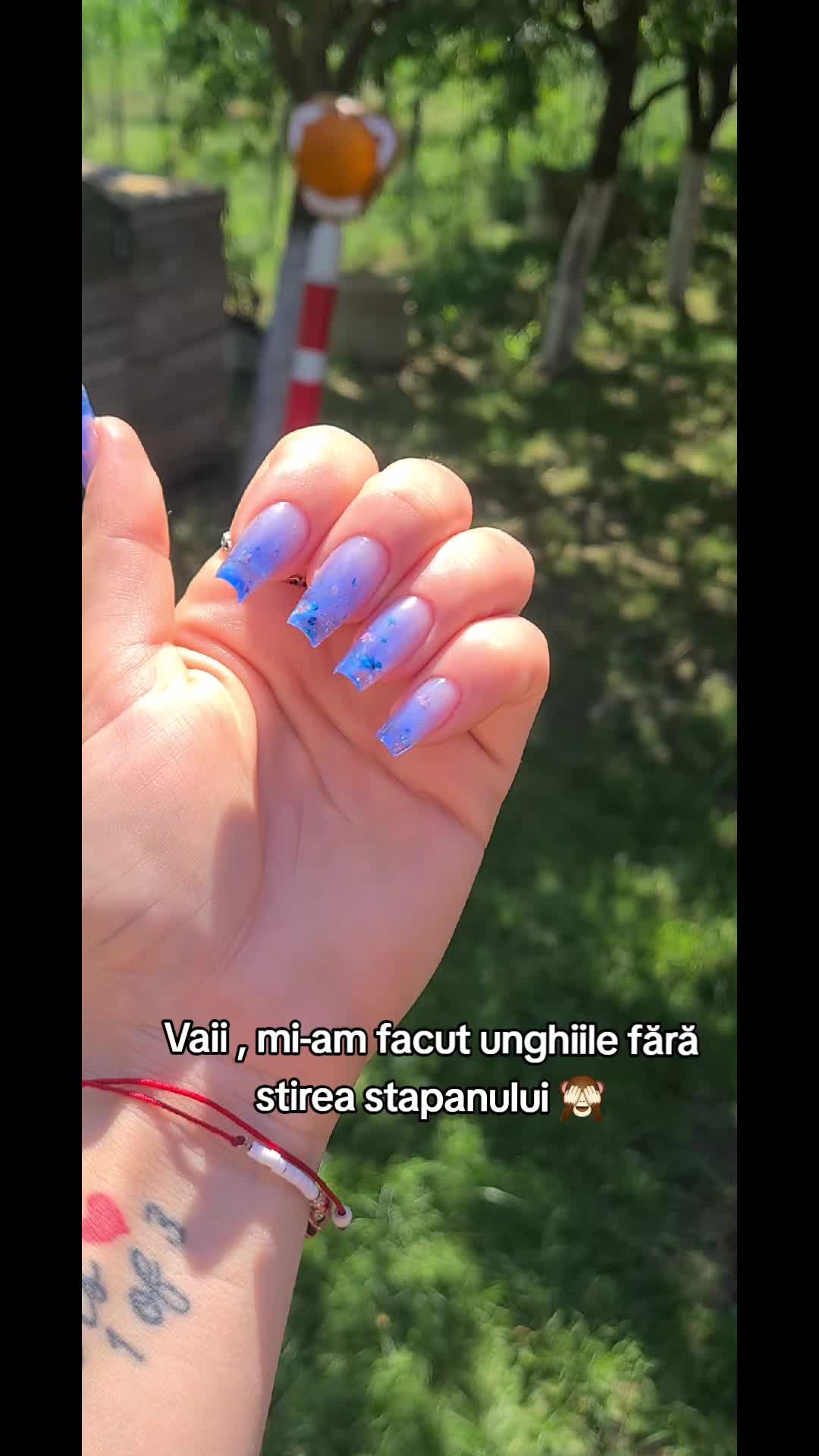 @Bonca Dorina