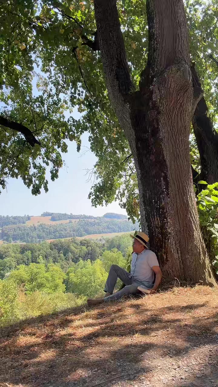 @BudimannCH 🇮🇩🇨🇭