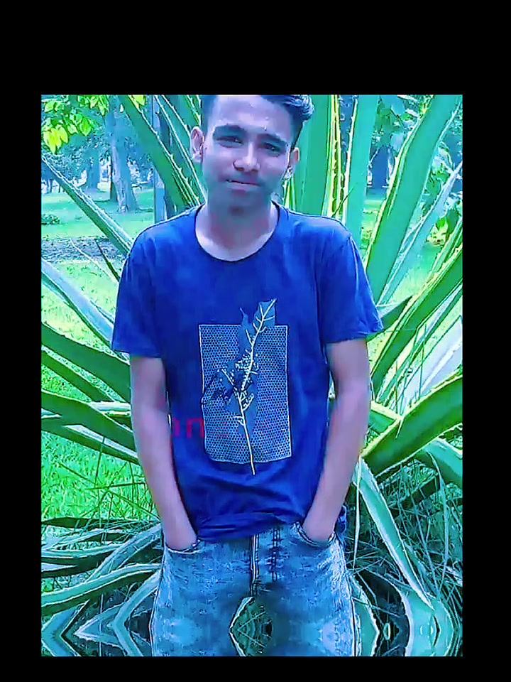 @রাত জাগা পাখি