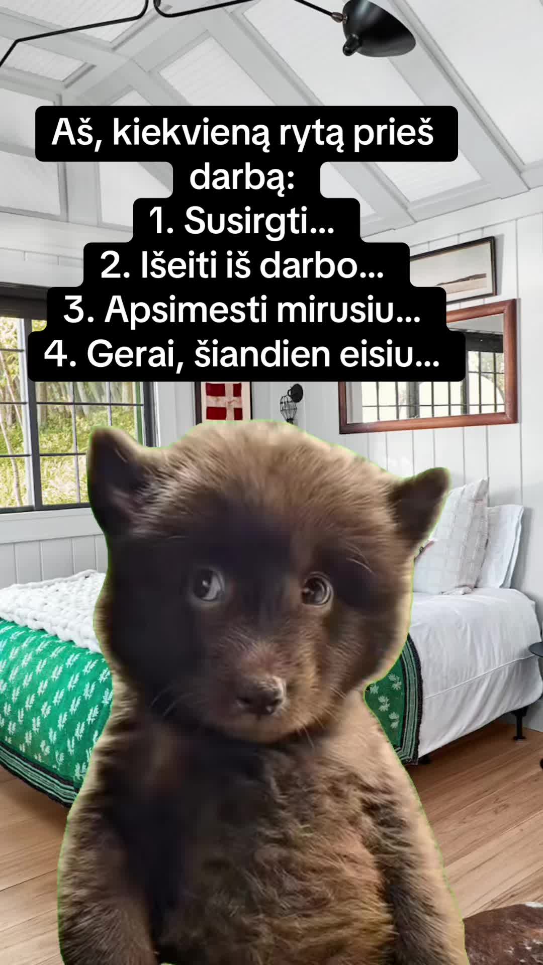 @Inga Zid-Rapalė 💣