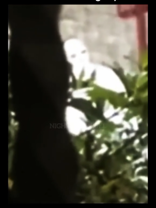 @NIGHTMARE FUEL