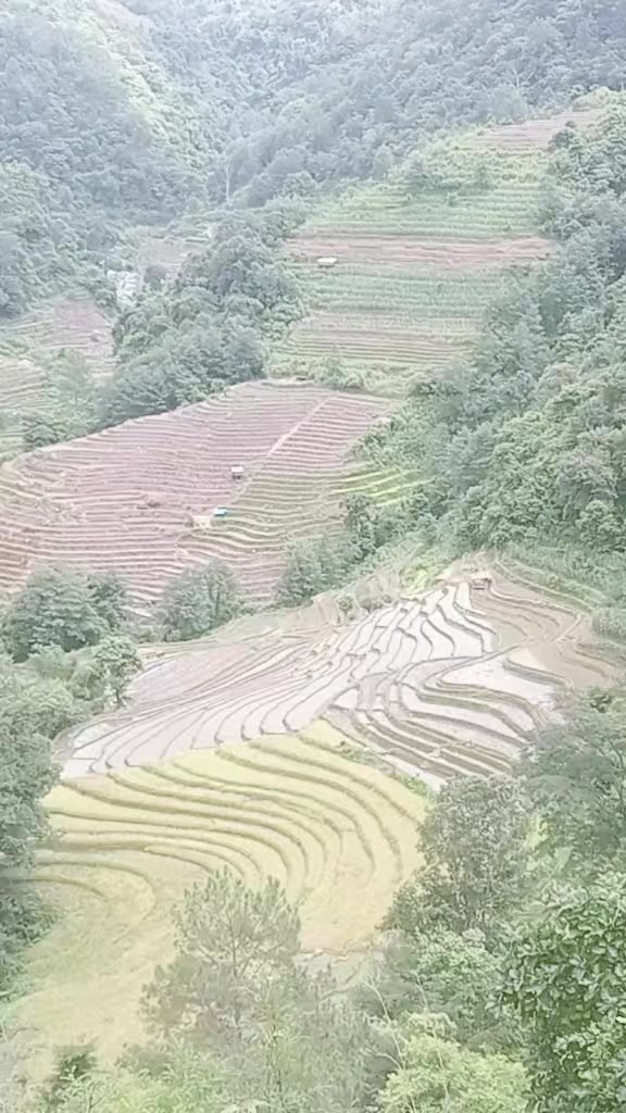 @लिम्बू keटो
