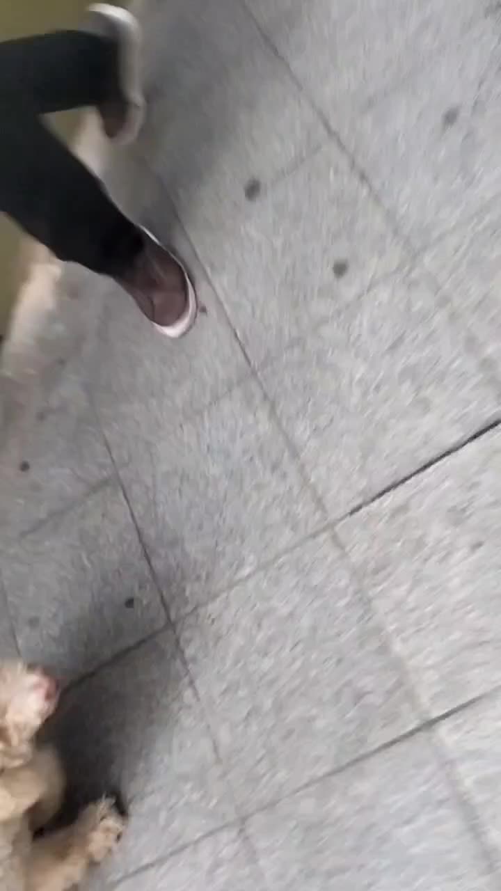 @huevofritoconpapa