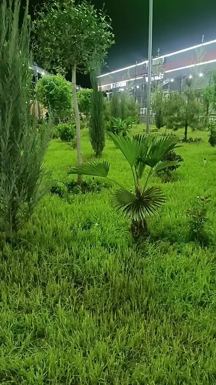 @OBIDJAN 090
