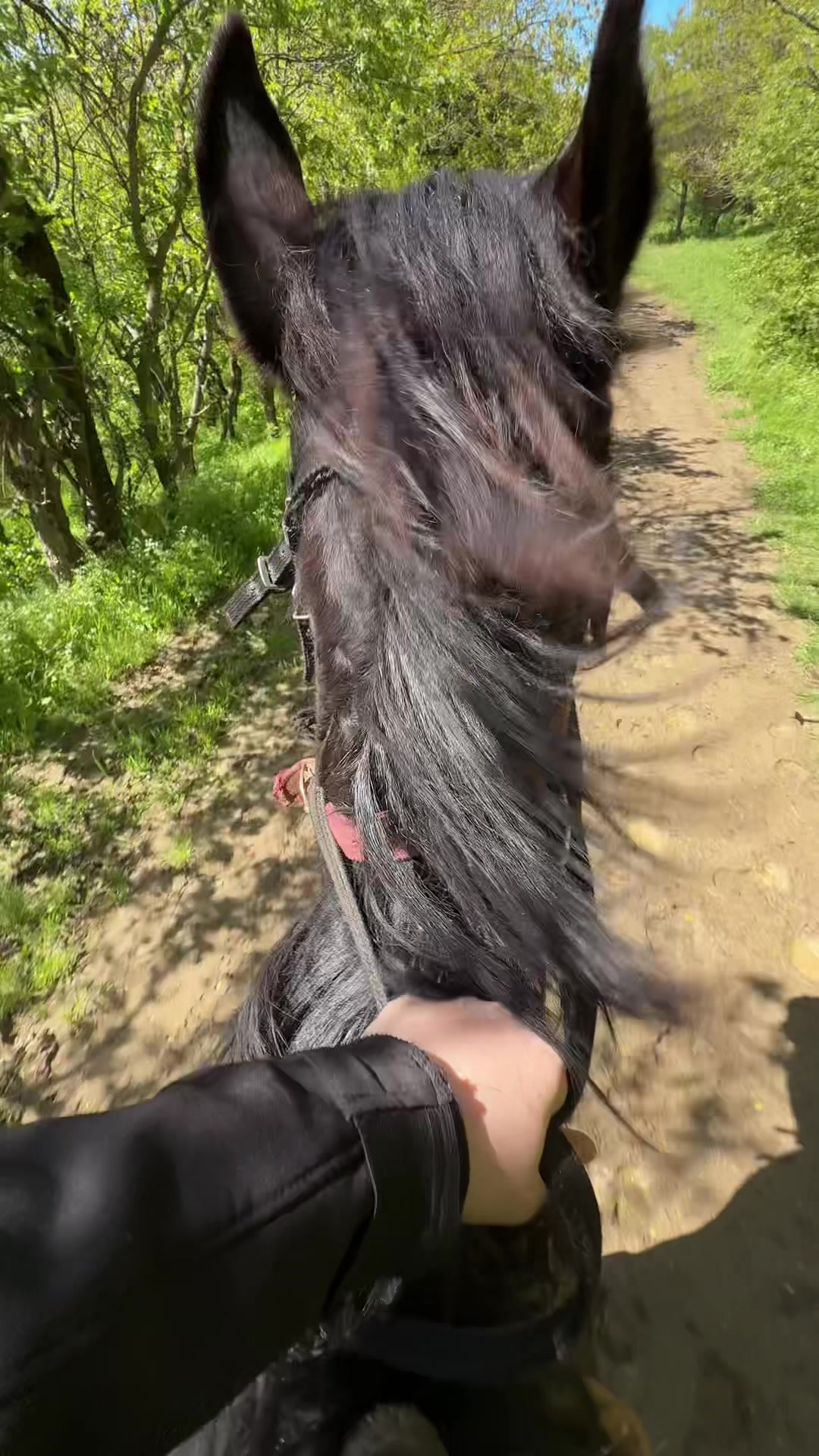 @horselakia