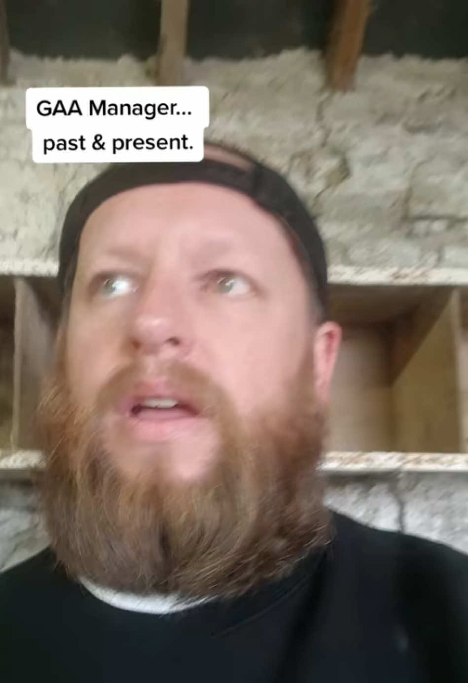 @corneliusthecomic
