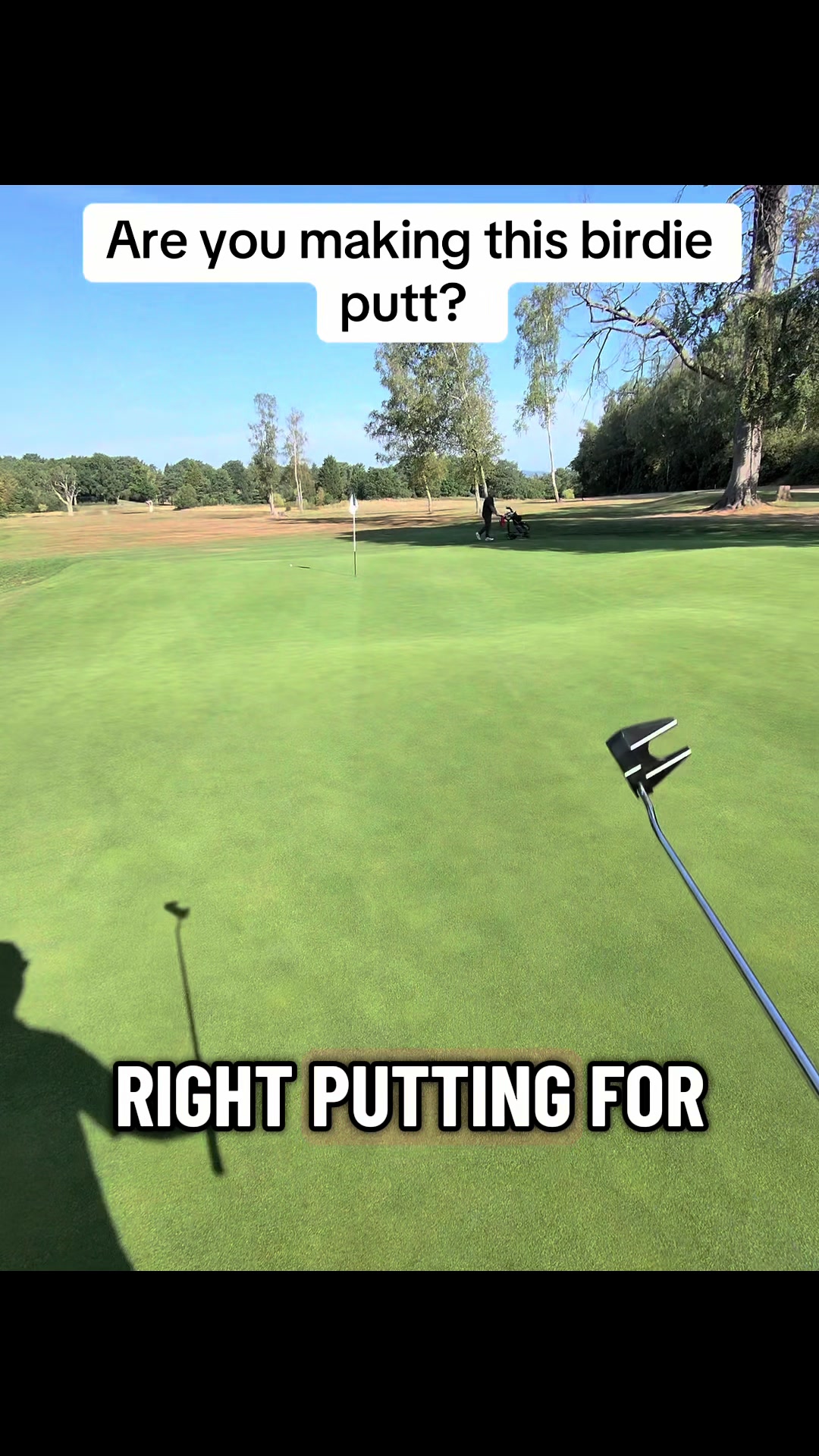 @GolfBite