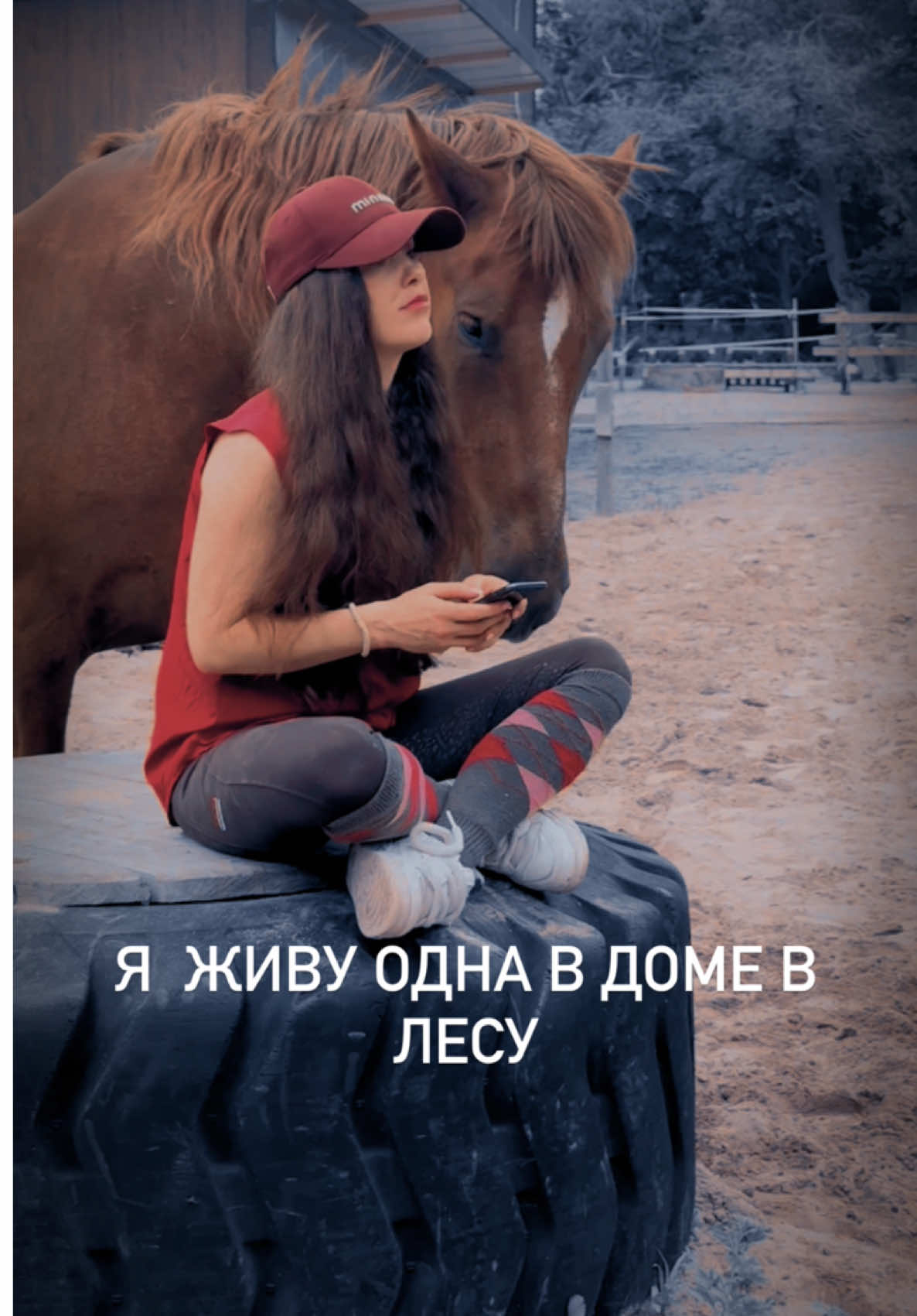 @Вера/лошади/обучение лошадей
