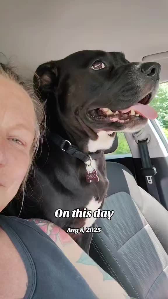 @oldfatchick