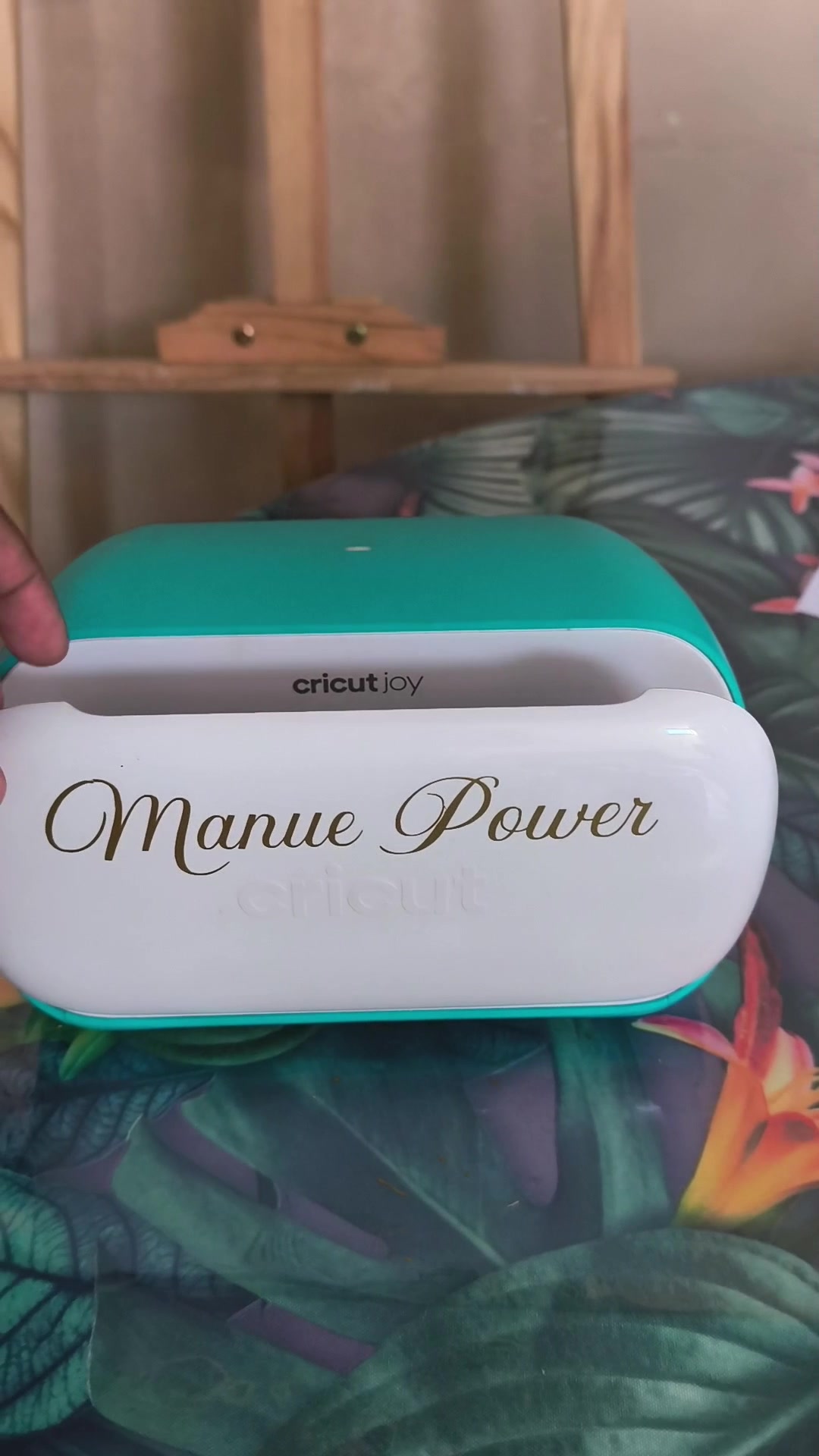 @manuepower🌴
