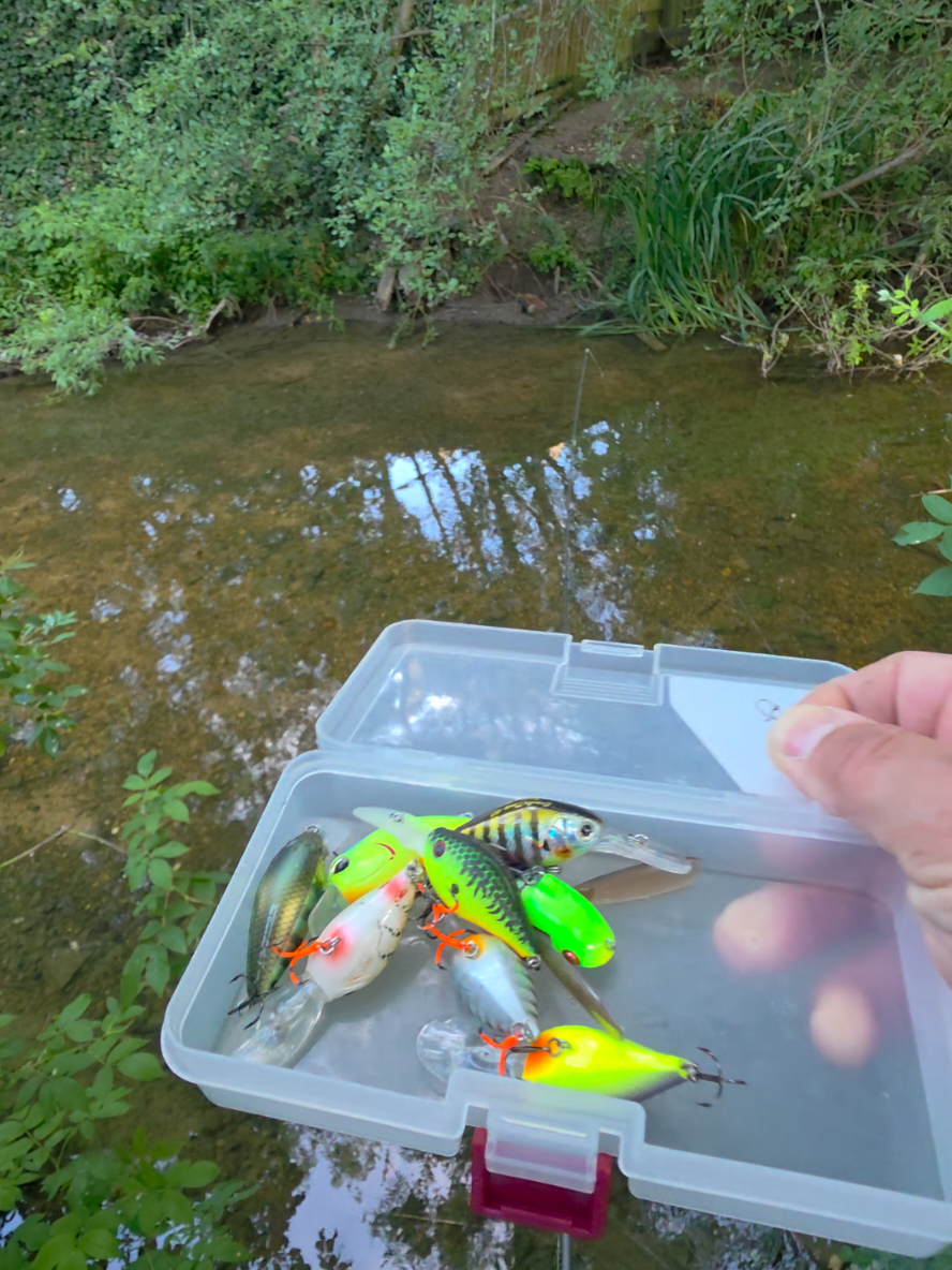 @BF Angler